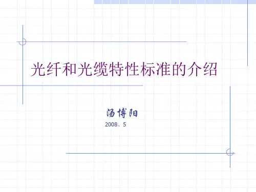 光纤标准的介绍