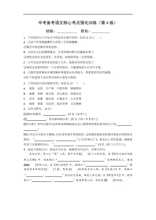 中考备考语文核心考点强化训练(第4练)含答案与解析