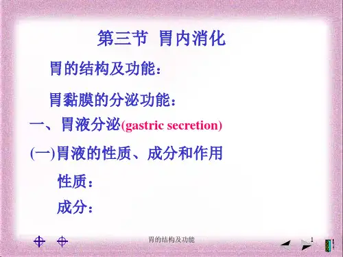 胃的结构及功能ppt课件