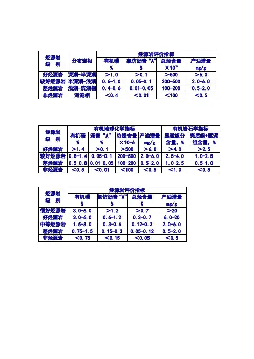 烃源岩评价标准