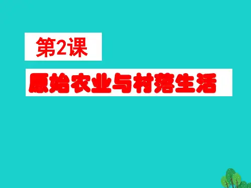 七年级历史上册原始农业与村落生活岳麓版