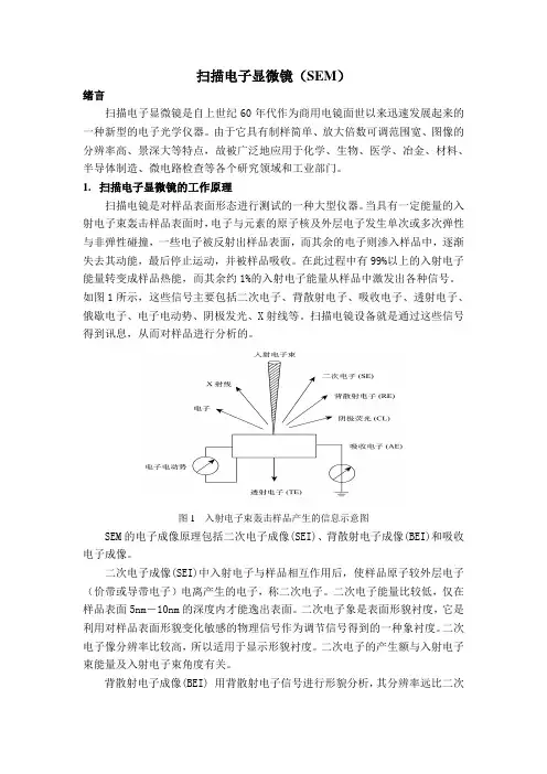 扫描电子显微镜 2