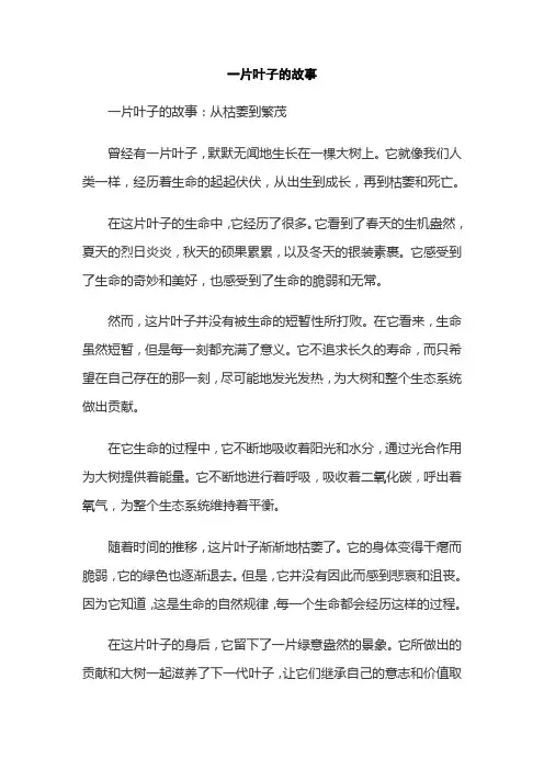 一片叶子的故事