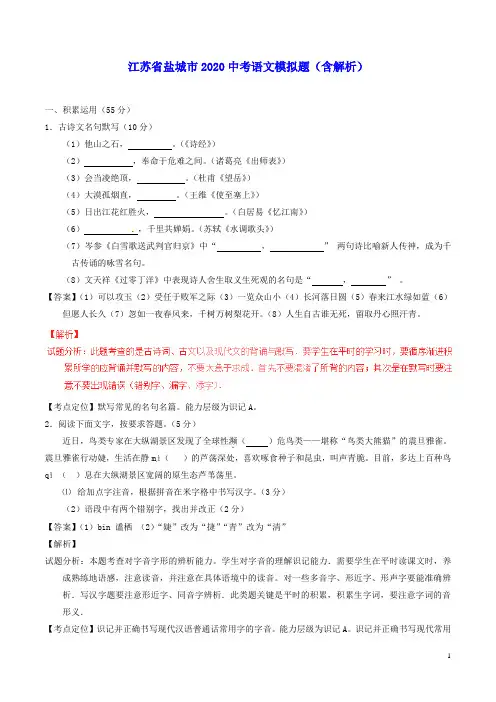 江苏省盐城市2020年中考语文模拟题(含解析)