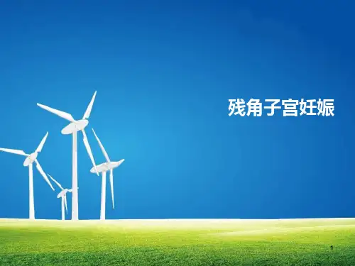残角子宫妊娠