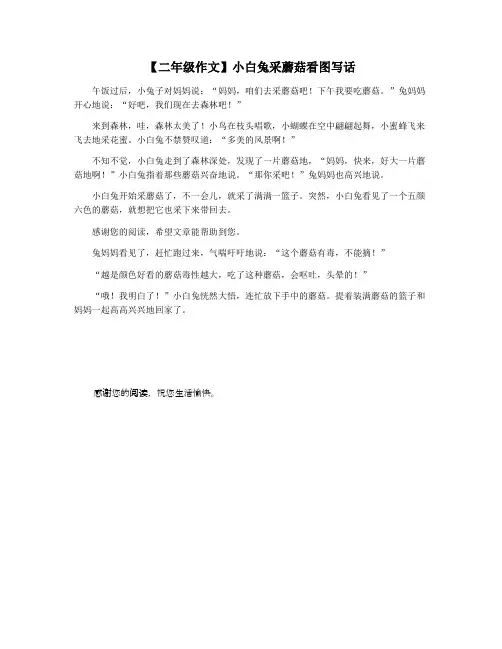 【二年级作文】小白兔采蘑菇看图写话