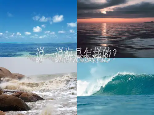 23 神秘的小岛
