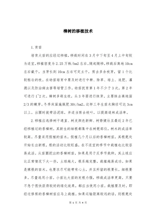 樟树的移植技术