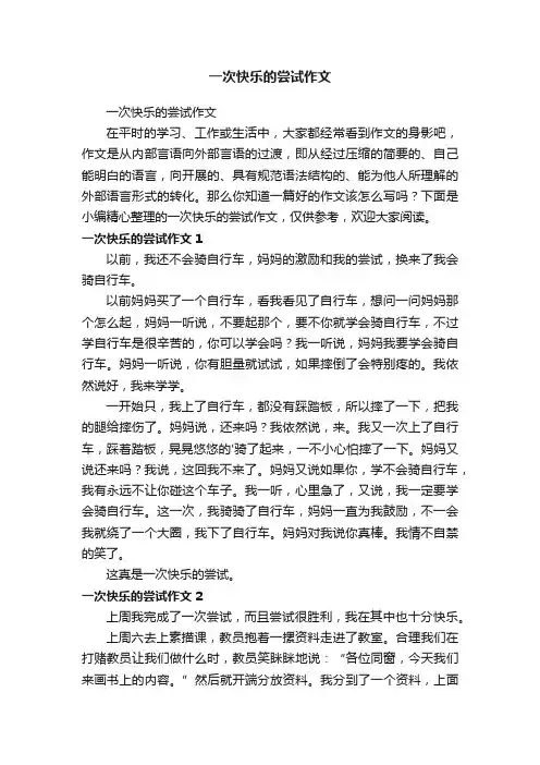 一次快乐的尝试作文