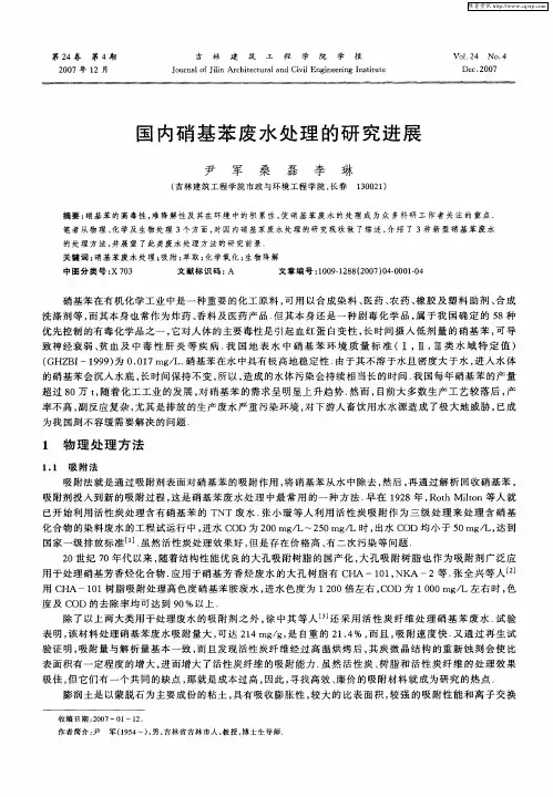 国内硝基苯废水处理的研究进展