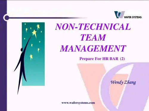non-technical team management