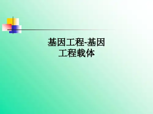基因工程-基因工程载体ppt课件