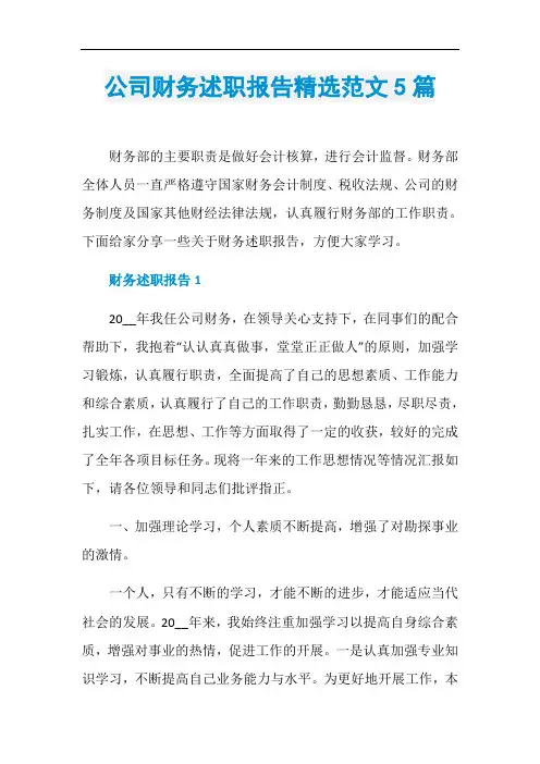 公司财务述职报告精选范文5篇