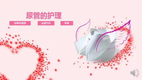 尿管护理PPT课件