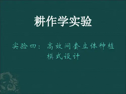 间套作立体种植模式设计