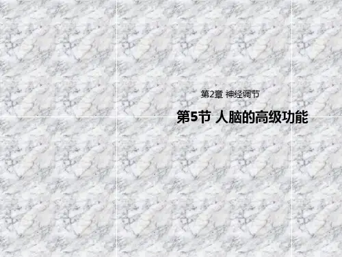 高中生物人教版选择性必修一课件25人脑的高级功能