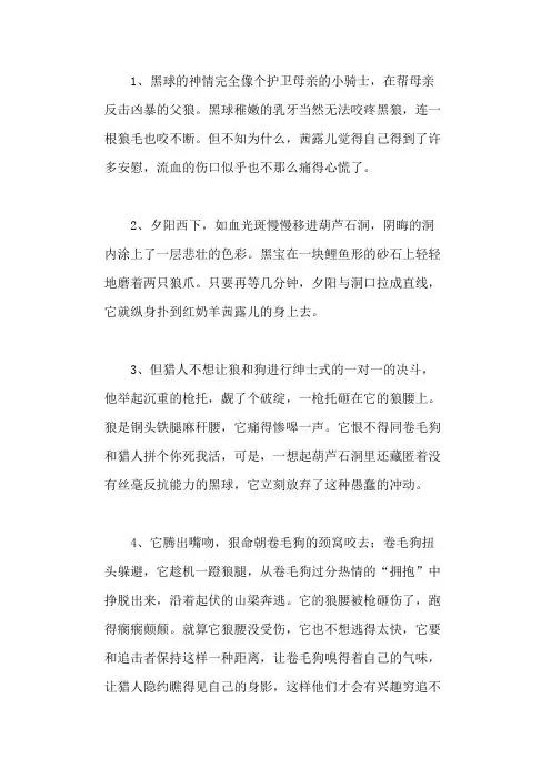 《斑羚飞渡》读书笔记好句好段摘抄
