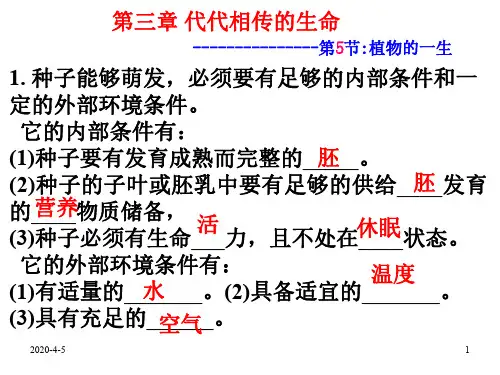 植物的一生1--浙教版