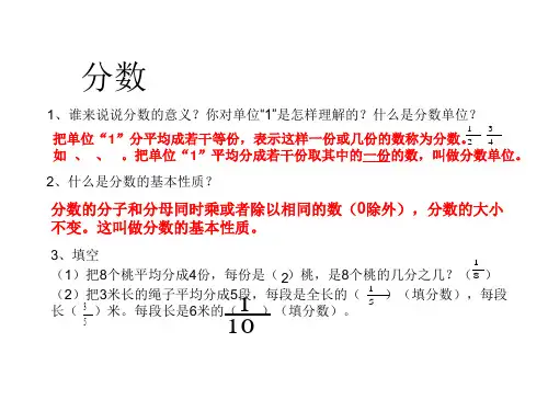 分数和百分数