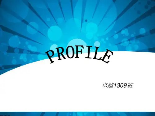 马云简介(英语)