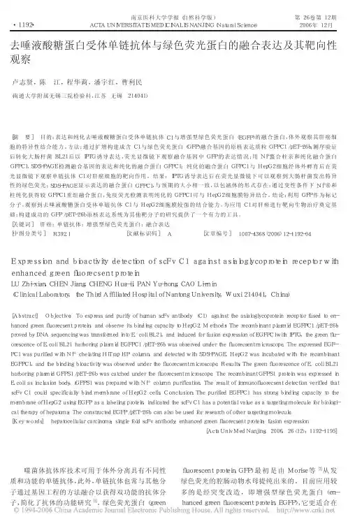 去唾液酸糖蛋白受体单链抗体与绿色荧光蛋白的融合表达及其靶向性观察