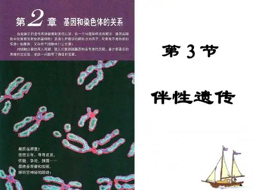 第3节 伴性遗传