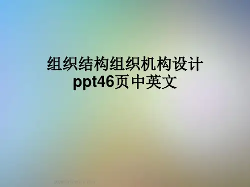 组织结构组织机构设计ppt46页中英文