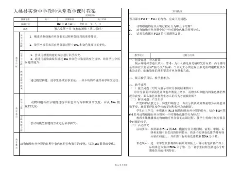 有丝分裂教案