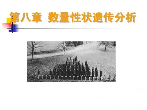 第七章 数量性状遗传