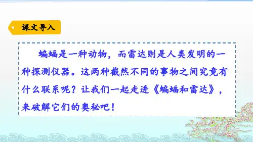 部编版四年级语文上册课件6 蝙蝠和雷达(完美版)