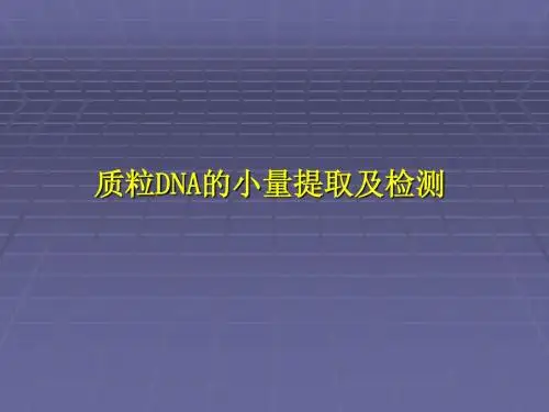 实验五_质粒提取