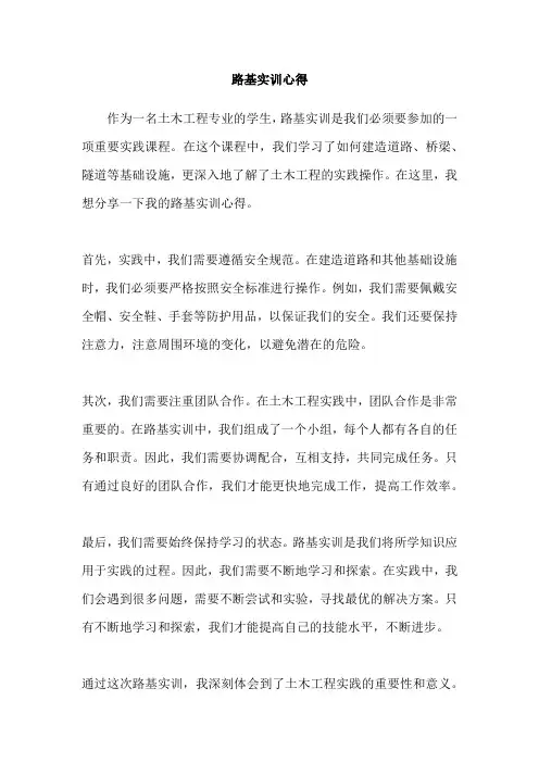 路基实训心得