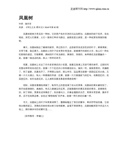 凤凰树