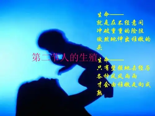 人的生殖