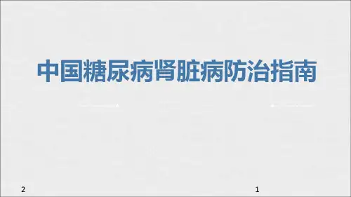 中国糖尿病肾病指南(2019)-推荐课件