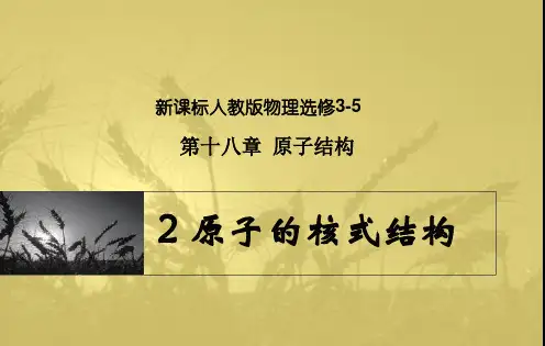 原子的核式结构模型(公开课)教程文件