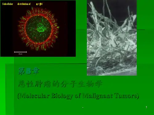 恶性肿瘤的分子生物学分解ppt课件