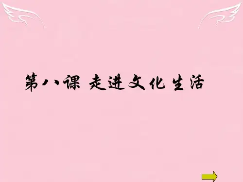 高二政治 色彩斑斓的文化生活 课件必修3