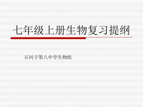 七年级上册生物复习PPT