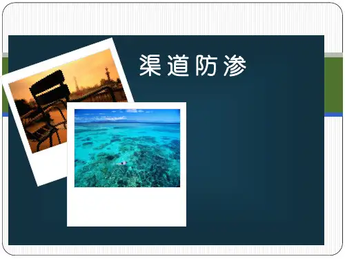 渠道防渗