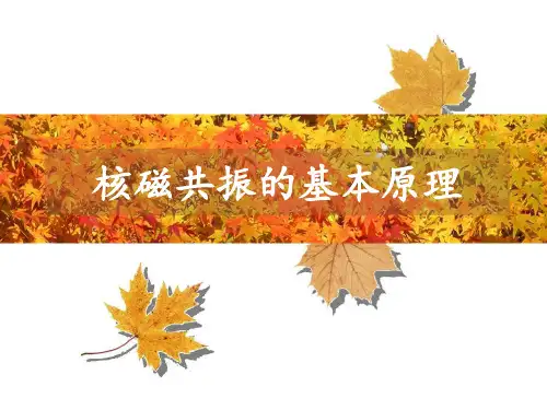 核磁共振的基本原理(PPT文档)