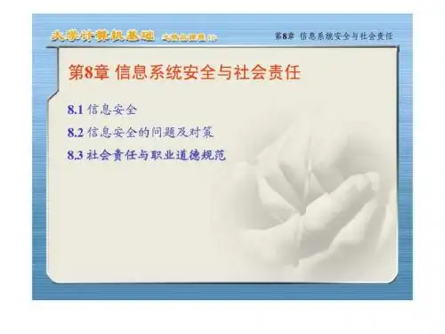信息系统安全与社会责任-文档资料