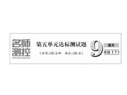 部编版九年级语文下册第五单元习题课件