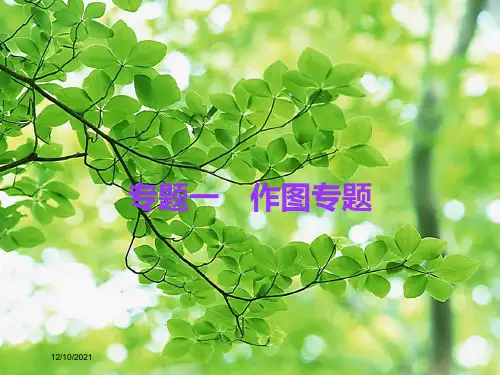 中考物理总复习 专题一 作图专题物理课件