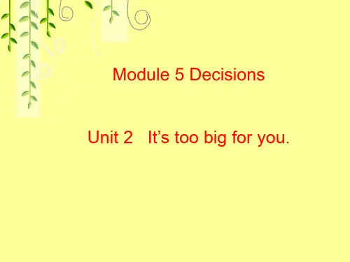 it's___too__big__for__you