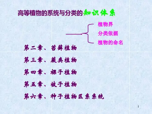 植物系统分类学PPT课件