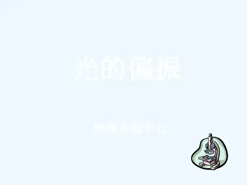 大学物理实验光的偏振