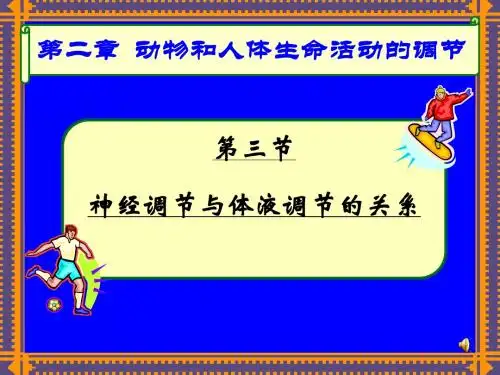 神经调节与体液调节的关系公开课