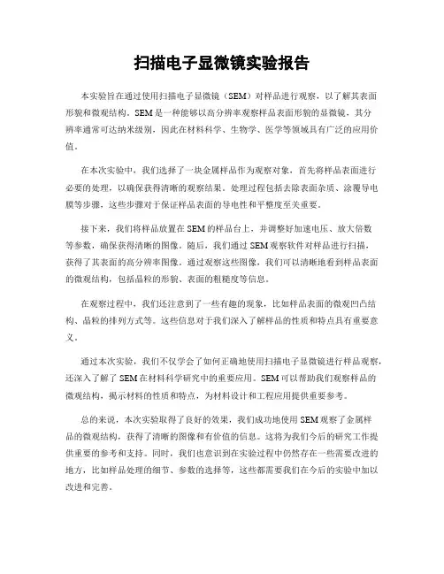 扫描电子显微镜实验报告 2