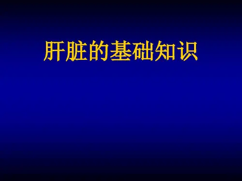 肝脏的基础知识